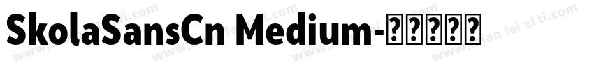 SkolaSansCn Medium字体转换